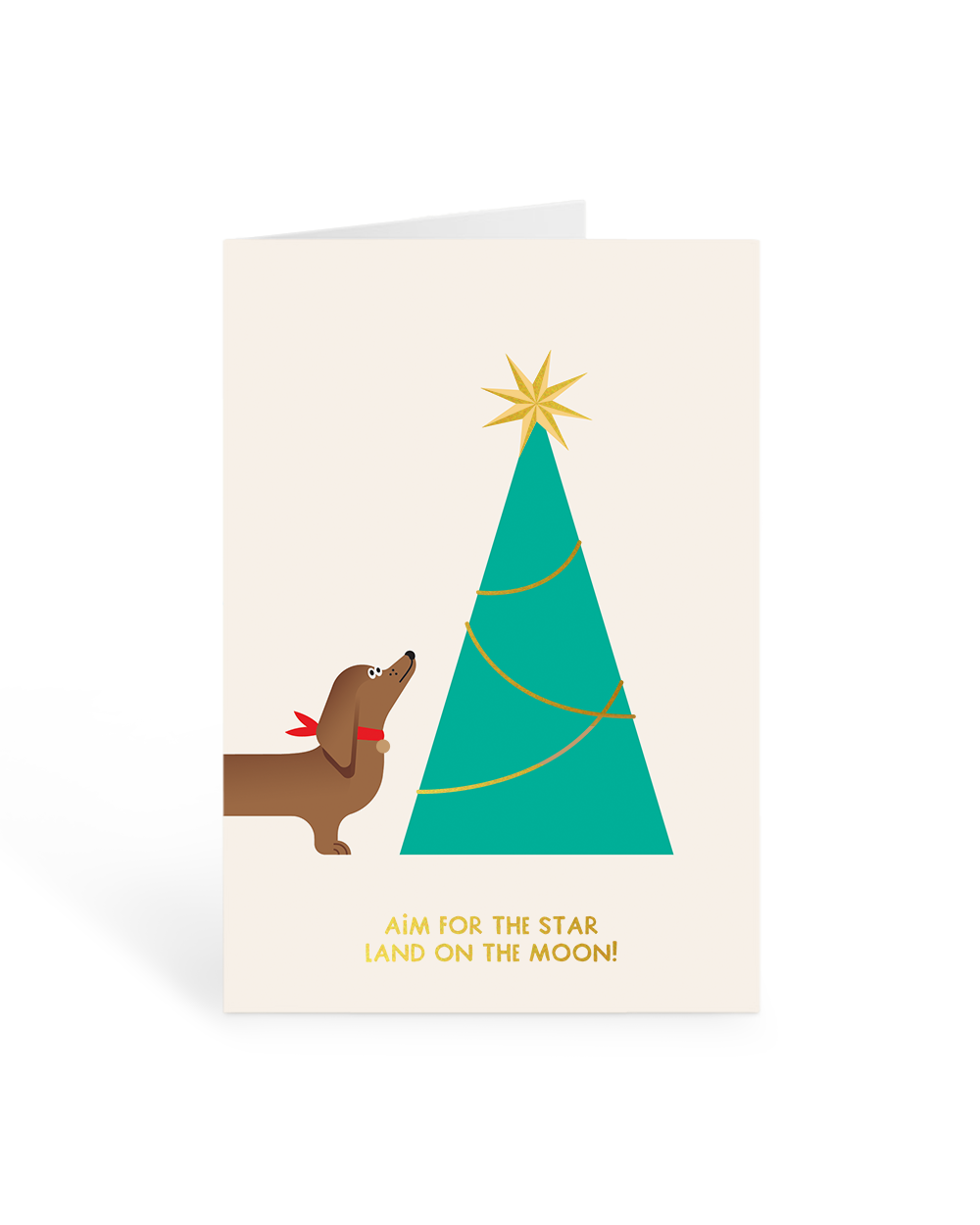 Aim For The Star Greeting Card