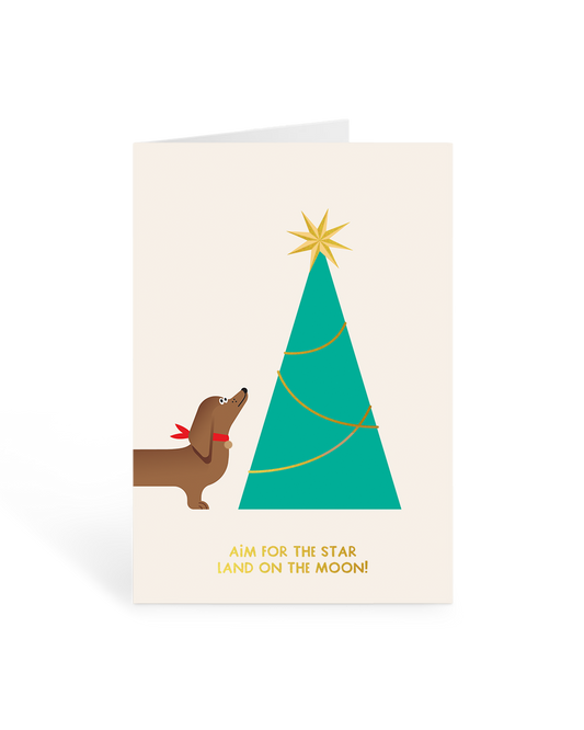 Aim For The Star Greeting Card
