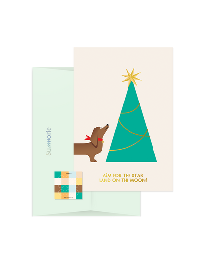 Aim For The Star Greeting Card