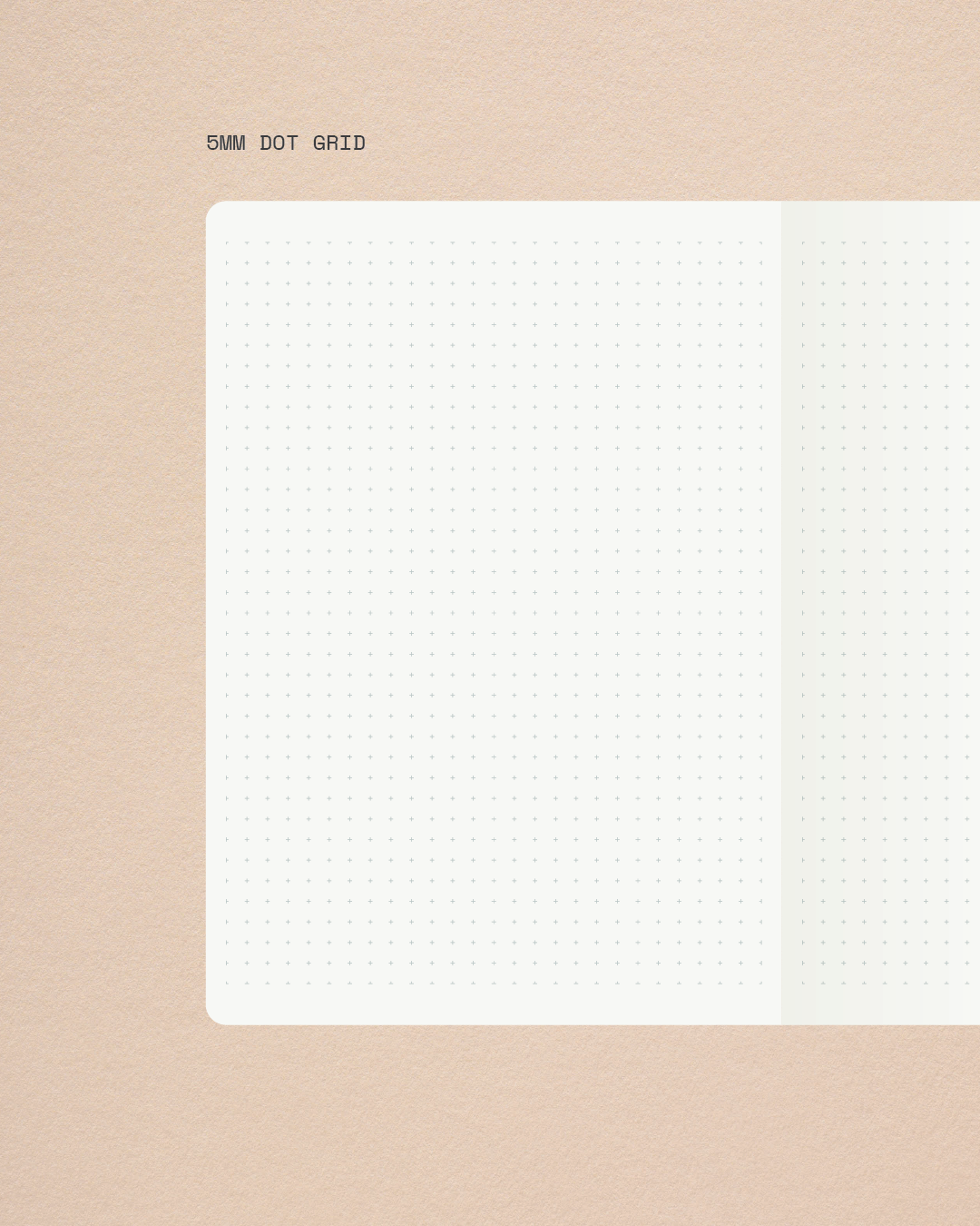 Begin Again – 2026 Planner Kit